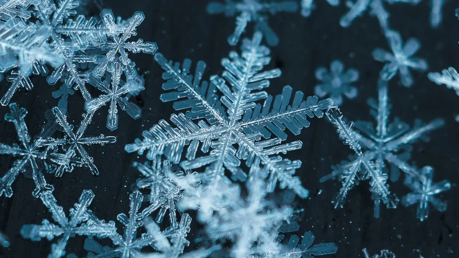 Snowflake.webp